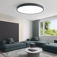 Moderne LED metalen plafondlamp cirkelvormig en slank Glenn