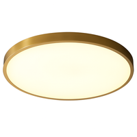 Plafondlamp plat en rond goudkleurig met LED
