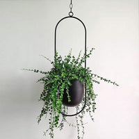 Elegante hangers voor planten met een minimalistisch ontwerp!