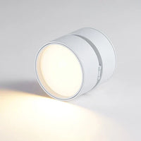 Moderne verstelbare LED plafondlamp