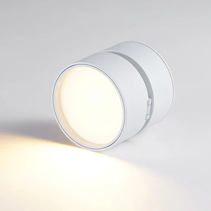 Moderne verstelbare LED plafondlamp