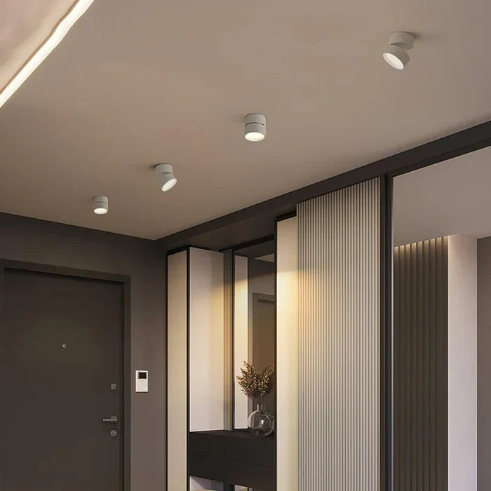 Moderne verstelbare LED plafondlamp