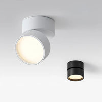 Moderne verstelbare LED plafondlamp