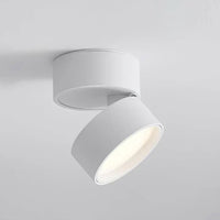 Moderne verstelbare LED plafondlamp