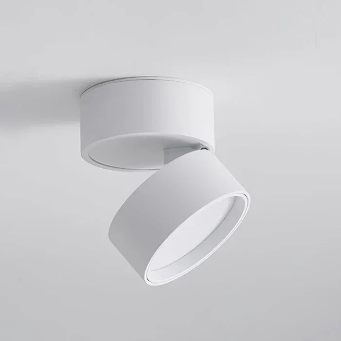 Moderne verstelbare LED plafondlamp