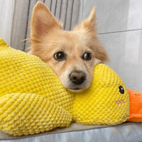 QuackyPaws • De Kalmerende Eend