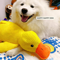QuackyPaws • De Kalmerende Eend