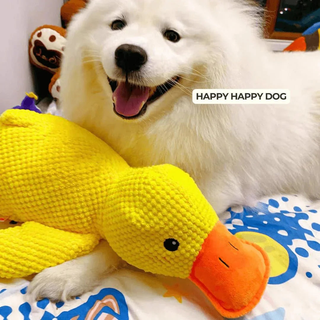 QuackyPaws • De Kalmerende Eend
