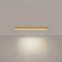 Minimalistische plafondlamp met een sterk effect