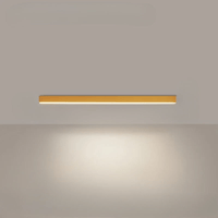 Minimalistische plafondlamp met een sterk effect