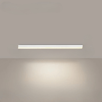 Minimalistische plafondlamp met een sterk effect