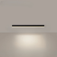Minimalistische plafondlamp met een sterk effect