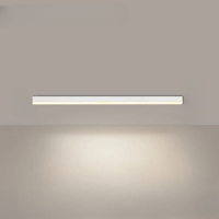 Minimalistische plafondlamp met een sterk effect