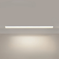 Minimalistische plafondlamp met een sterk effect