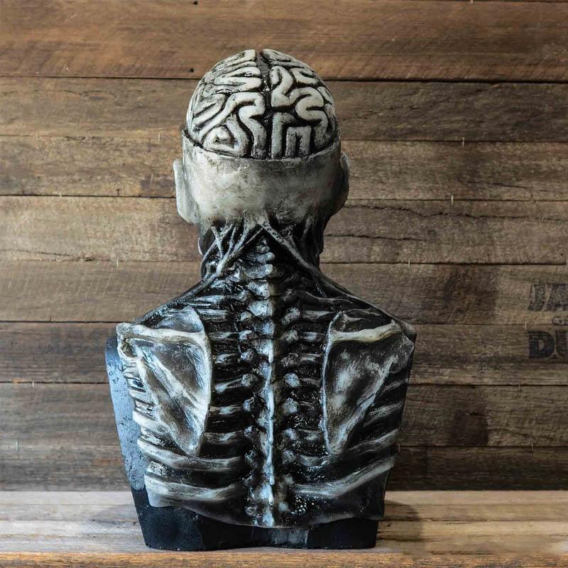 Angstige Skelet Bioman Masker - Realistisch Halloween Kostuum