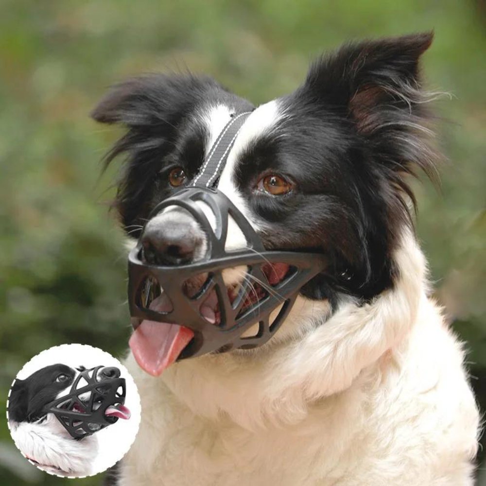 SafeBark • Hondenmuilkorf