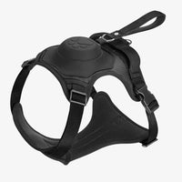 LeashLead | Maak van elke wandeling met je huisdier een plezierig avontuur