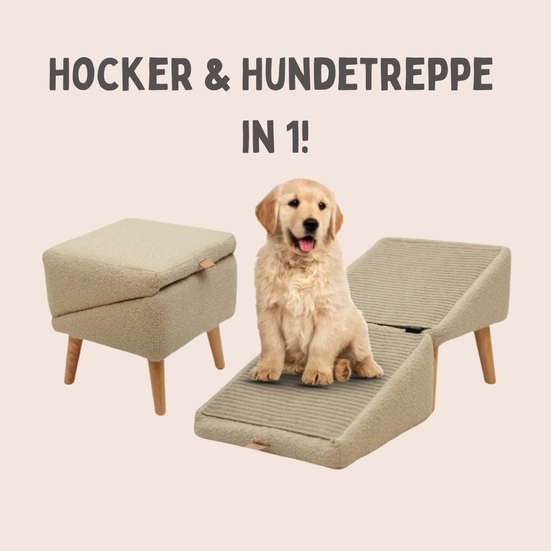 Hondentrap voor Bed & Bank | Hondenrampe & Poef in één | SofaVriend