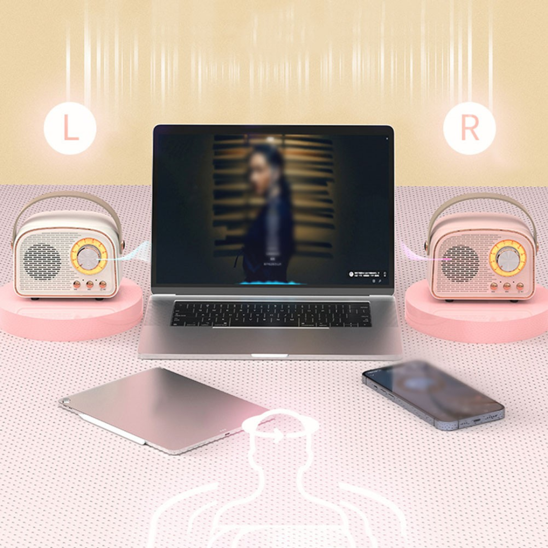 SoundJoy | Retro Draagbare Luidspreker met FM Radio