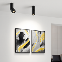 Spot ontwerp LED met 90° oriëntatie Silla