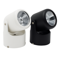 Spot LED directioneel (zwart of wit)