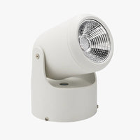 Spot LED directioneel (zwart of wit)