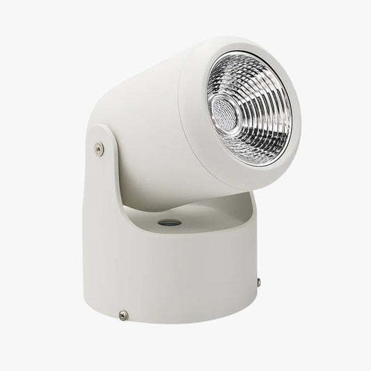 Spot LED directioneel (zwart of wit)