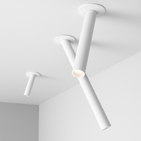 Moderne LED Spot en Tube Richtbaar