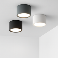 Ronde opbouwspot Nordic LED Kleine Plafondlamp Spotlicht Hal Entree Licht Gang Licht Binnenverlichting