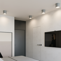 Ronde opbouwspot Nordic LED Kleine Plafondlamp Spotlicht Hal Entree Licht Gang Licht Binnenverlichting