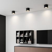Ronde opbouwspot Nordic LED Kleine Plafondlamp Spotlicht Hal Entree Licht Gang Licht Binnenverlichting