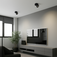 Ronde verstelbare LED design spots