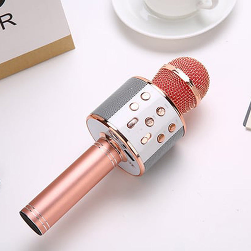 Zing overal: De ultieme draadloze karaoke microfoon!