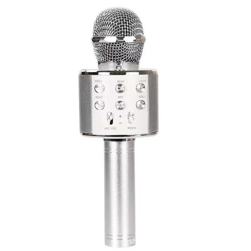 Zing overal: De ultieme draadloze karaoke microfoon!