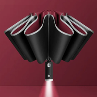 Stormbestendige Automatische Paraplu met Licht | LumBrella