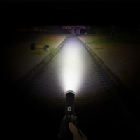 Stormbestendige Automatische Paraplu met Licht | LumBrella