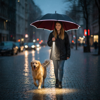 Stormbestendige Automatische Paraplu met Licht | LumBrella