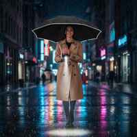 Stormbestendige Automatische Paraplu met Licht | LumBrella