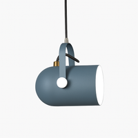 Aluminium hanglamp in kleur