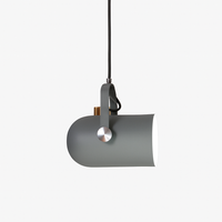 Aluminium hanglamp in kleur