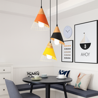 Design hanglamp van hout met gekleurde kooi