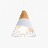Design hanglamp van hout met gekleurde kooi