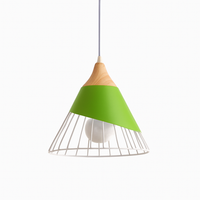 Design hanglamp van hout met gekleurde kooi