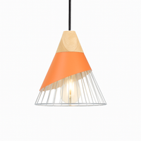 Design hanglamp van hout met gekleurde kooi