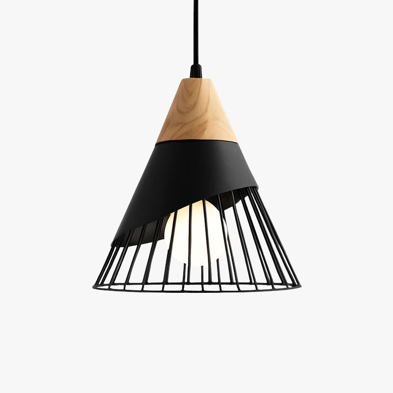 Design hanglamp van hout met gekleurde kooi
