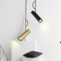 Ontwerp hanglamp verstelbaar met gouden steel