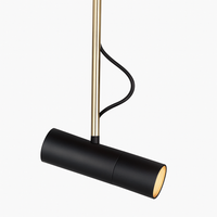 Ontwerp hanglamp verstelbaar met gouden steel
