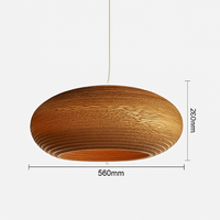 Papieren kartonnen hanglamp (verschillende vormen)