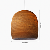 Papieren kartonnen hanglamp (verschillende vormen)