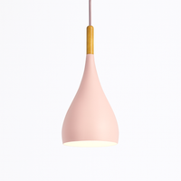 Kleurrijke metalen LED hanglamp en houten Nordic stok